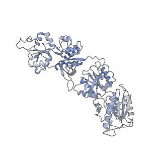 9163_6mmv_B_v1-2
Triheteromeric NMDA receptor GluN1/GluN2A/GluN2A* Extracellular Domain in the '2-Knuckle-Asymmetric' conformation, in complex with glycine and glutamate, in the presence of 1 micromolar zinc chloride, and at pH 7.4