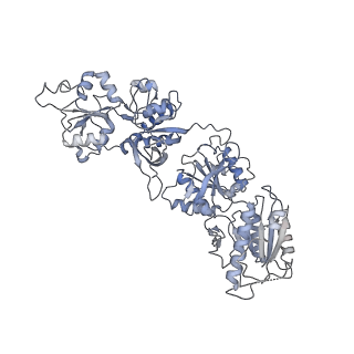 9163_6mmv_B_v2-0
Triheteromeric NMDA receptor GluN1/GluN2A/GluN2A* Extracellular Domain in the '2-Knuckle-Asymmetric' conformation, in complex with glycine and glutamate, in the presence of 1 micromolar zinc chloride, and at pH 7.4