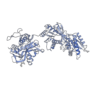 9163_6mmv_C_v1-2
Triheteromeric NMDA receptor GluN1/GluN2A/GluN2A* Extracellular Domain in the '2-Knuckle-Asymmetric' conformation, in complex with glycine and glutamate, in the presence of 1 micromolar zinc chloride, and at pH 7.4