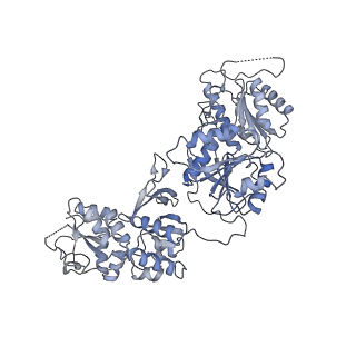 9163_6mmv_D_v1-2
Triheteromeric NMDA receptor GluN1/GluN2A/GluN2A* Extracellular Domain in the '2-Knuckle-Asymmetric' conformation, in complex with glycine and glutamate, in the presence of 1 micromolar zinc chloride, and at pH 7.4