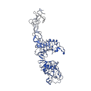 23917_7mn6_A_v1-3
Structure of the HER2 S310F/HER3/NRG1b Heterodimer Extracellular Domain