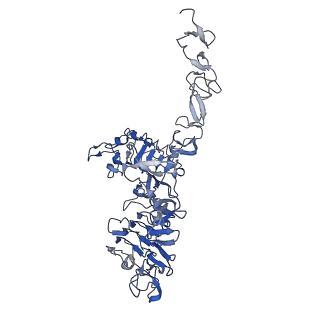 23917_7mn6_B_v1-3
Structure of the HER2 S310F/HER3/NRG1b Heterodimer Extracellular Domain