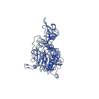 23918_7mn8_B_v1-2
Structure of the HER2/HER3/NRG1b Heterodimer Extracellular Domain bound to Trastuzumab Fab