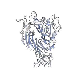 23920_7mo8_B_v1-1
Cryo-EM structure of 1:1 c-MET I/HGF I complex after focused 3D refinement of holo-complex