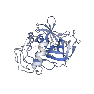 23921_7mo9_D_v1-1
Cryo-EM map of the c-MET II/HGF I/HGF II (K4 and SPH) sub-complex