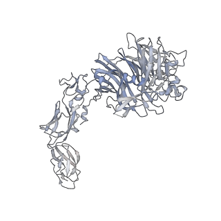 23922_7moa_E_v1-1
Cryo-EM structure of the c-MET II/HGF I complex bound with HGF II in a rigid conformation
