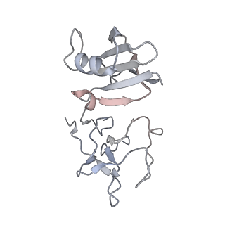 23923_7mob_B_v1-1
Cryo-EM structure of 2:2 c-MET/NK1 complex