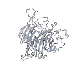 23923_7mob_D_v1-1
Cryo-EM structure of 2:2 c-MET/NK1 complex