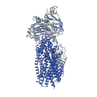 23932_7mpe_A_v1-0
Cryo-EM structure of the yeast cadmium factor 1 protein (Ycf1p)