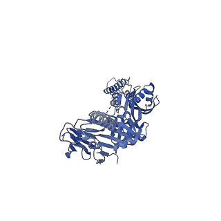 23933_7mpg_A_v1-0
Cryo-EM structure of Prefusion-stabilized RSV F (DS-Cav1) in complex with Fab AM14