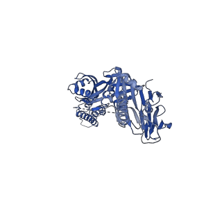 23933_7mpg_B_v1-0
Cryo-EM structure of Prefusion-stabilized RSV F (DS-Cav1) in complex with Fab AM14