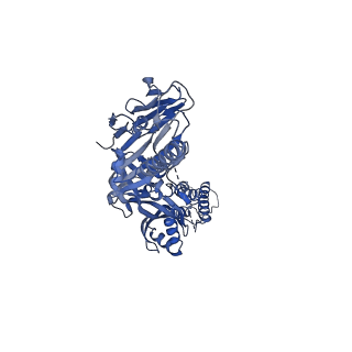 23933_7mpg_C_v1-0
Cryo-EM structure of Prefusion-stabilized RSV F (DS-Cav1) in complex with Fab AM14