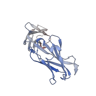 23933_7mpg_D_v1-0
Cryo-EM structure of Prefusion-stabilized RSV F (DS-Cav1) in complex with Fab AM14