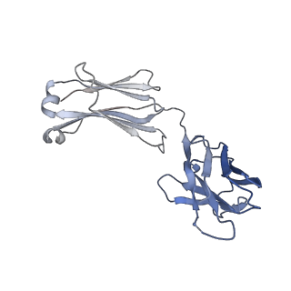 23933_7mpg_E_v1-0
Cryo-EM structure of Prefusion-stabilized RSV F (DS-Cav1) in complex with Fab AM14