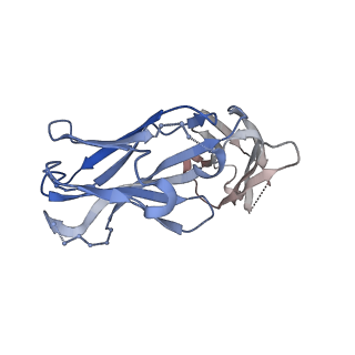 23933_7mpg_F_v1-0
Cryo-EM structure of Prefusion-stabilized RSV F (DS-Cav1) in complex with Fab AM14