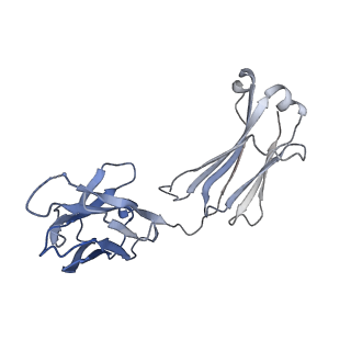 23933_7mpg_G_v1-0
Cryo-EM structure of Prefusion-stabilized RSV F (DS-Cav1) in complex with Fab AM14