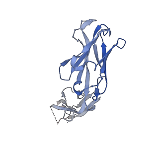 23933_7mpg_H_v1-0
Cryo-EM structure of Prefusion-stabilized RSV F (DS-Cav1) in complex with Fab AM14