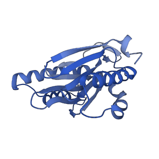 3534_5mp9_1_v1-1
26S proteasome in presence of ATP (s1)