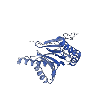 3534_5mp9_2_v1-1
26S proteasome in presence of ATP (s1)