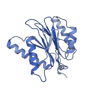 3534_5mp9_3_v1-1
26S proteasome in presence of ATP (s1)