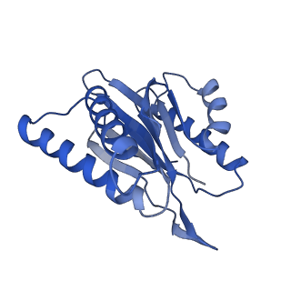 3534_5mp9_4_v1-1
26S proteasome in presence of ATP (s1)
