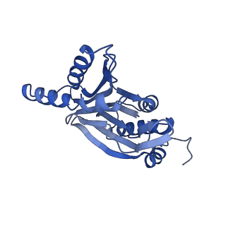 3534_5mp9_5_v1-1
26S proteasome in presence of ATP (s1)