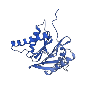 3534_5mp9_6_v1-1
26S proteasome in presence of ATP (s1)