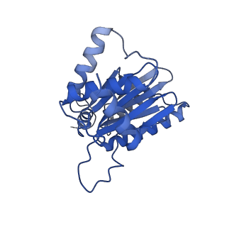 3534_5mp9_A_v1-1
26S proteasome in presence of ATP (s1)