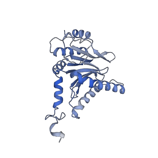 3534_5mp9_C_v1-1
26S proteasome in presence of ATP (s1)