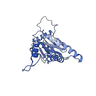 3534_5mp9_D_v1-1
26S proteasome in presence of ATP (s1)