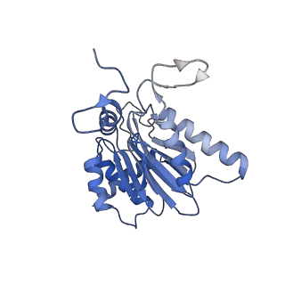 3534_5mp9_E_v1-1
26S proteasome in presence of ATP (s1)