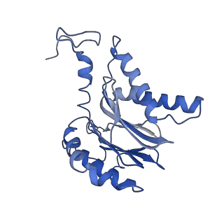 3534_5mp9_F_v1-1
26S proteasome in presence of ATP (s1)