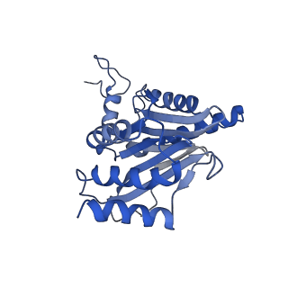 3534_5mp9_G_v1-1
26S proteasome in presence of ATP (s1)