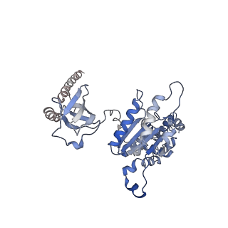 3534_5mp9_H_v1-1
26S proteasome in presence of ATP (s1)