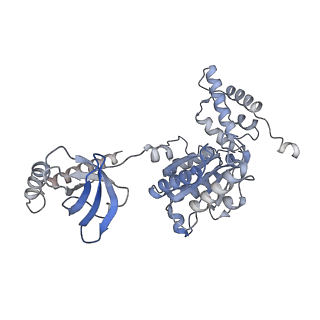 3534_5mp9_I_v1-1
26S proteasome in presence of ATP (s1)