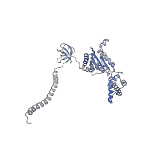 3534_5mp9_L_v1-1
26S proteasome in presence of ATP (s1)
