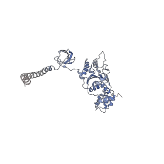 3534_5mp9_M_v1-1
26S proteasome in presence of ATP (s1)