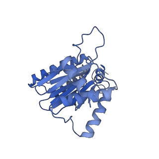 3534_5mp9_a_v1-1
26S proteasome in presence of ATP (s1)