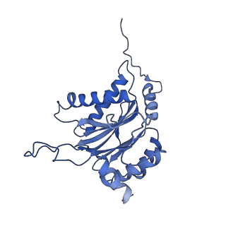 3534_5mp9_b_v1-1
26S proteasome in presence of ATP (s1)
