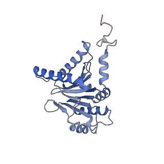 3534_5mp9_c_v1-1
26S proteasome in presence of ATP (s1)