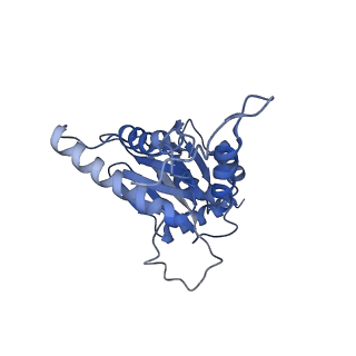 3534_5mp9_d_v1-1
26S proteasome in presence of ATP (s1)