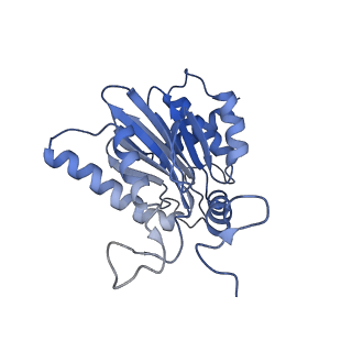 3534_5mp9_e_v1-1
26S proteasome in presence of ATP (s1)