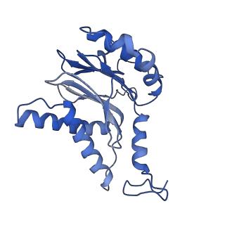 3534_5mp9_f_v1-1
26S proteasome in presence of ATP (s1)
