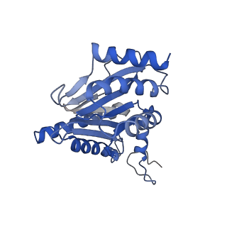 3534_5mp9_g_v1-1
26S proteasome in presence of ATP (s1)