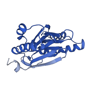 3534_5mp9_h_v1-1
26S proteasome in presence of ATP (s1)