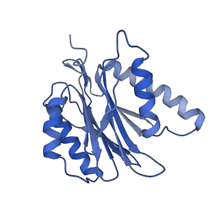 3534_5mp9_j_v1-1
26S proteasome in presence of ATP (s1)