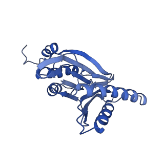 3534_5mp9_l_v1-1
26S proteasome in presence of ATP (s1)