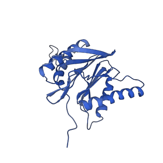 3534_5mp9_m_v1-1
26S proteasome in presence of ATP (s1)