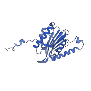 3534_5mp9_n_v1-1
26S proteasome in presence of ATP (s1)