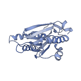 3535_5mpa_1_v1-1
26S proteasome in presence of ATP (s2)